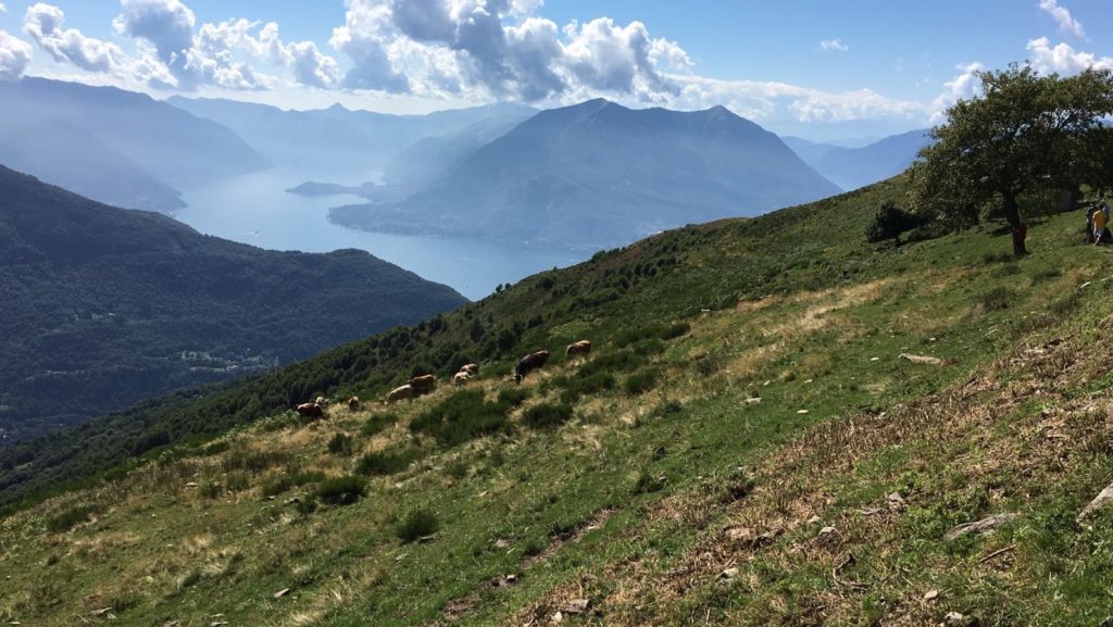 Parco Nazionale delle Dolomiti Bellunesi: un tesoro da scoprire